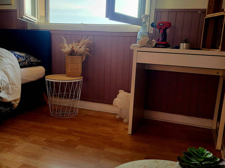 Homestay Saint-Génies-Bellevue 494325-5