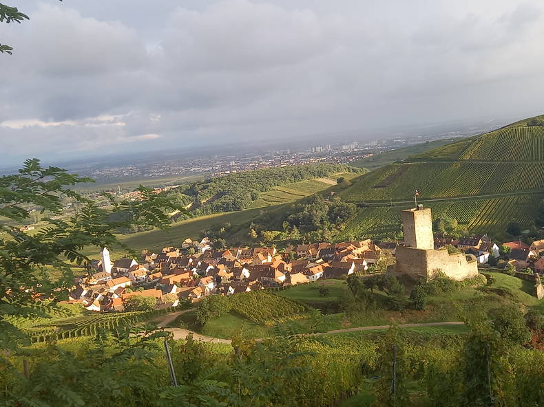 Coliving Turckheim 401678-1