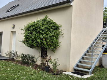 Quedarse en casa à louer à Lussault-Sur-Loire - otra habitación-6