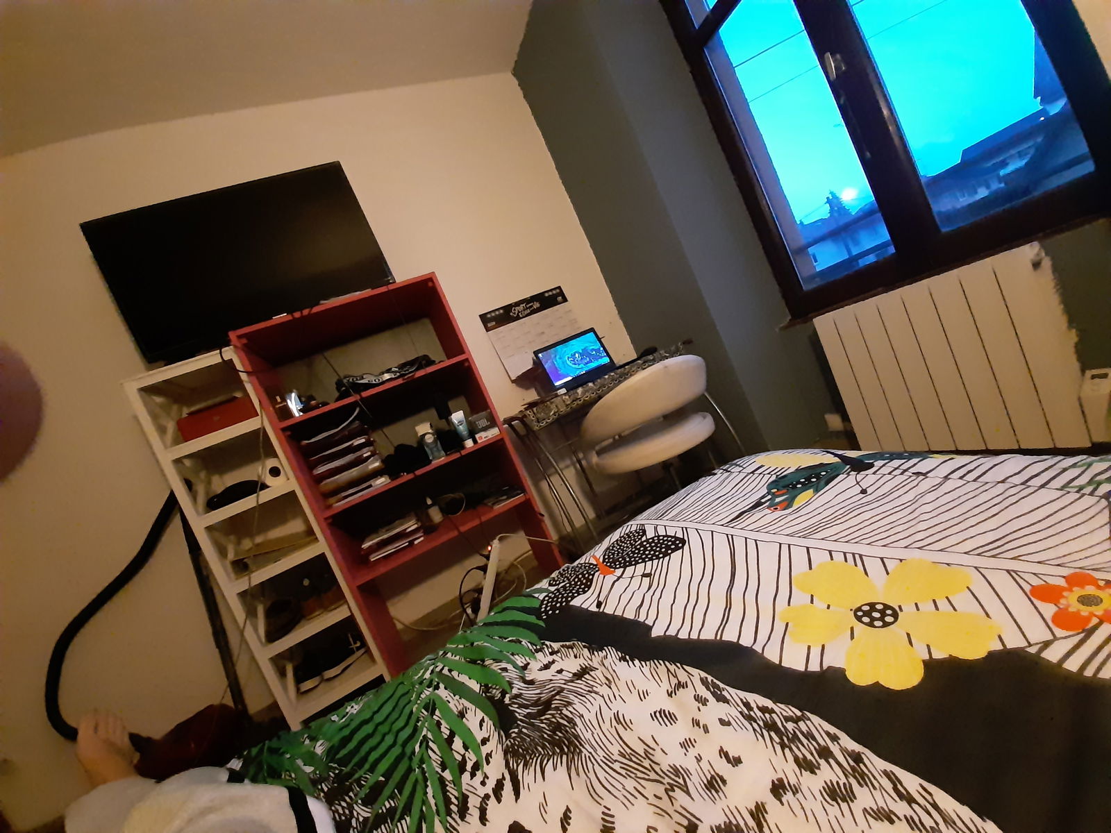 Colocation Belfort 250012