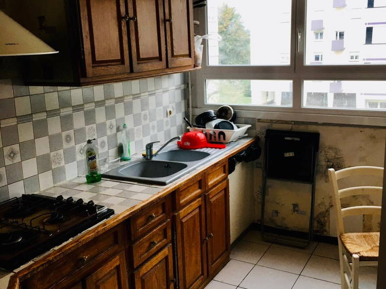 Kolokasie Pontoise 242679-2