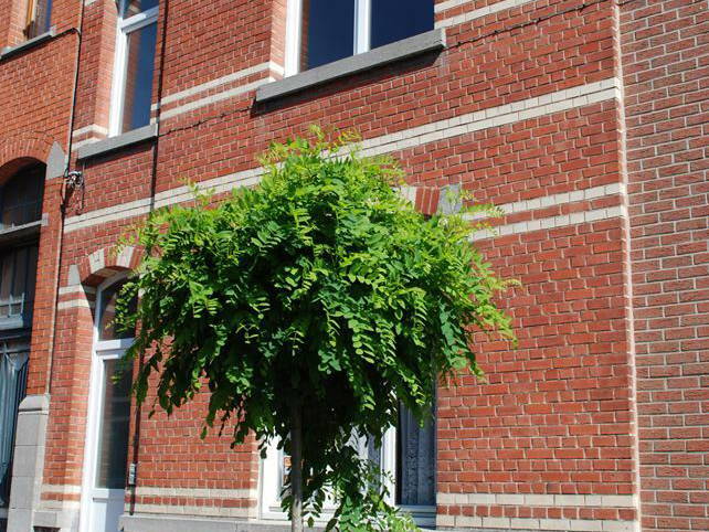 Colocation Tournai 109364-3