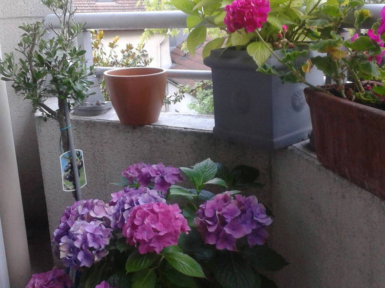 Quedarse En Casa Chaville 87734-2