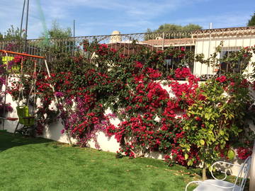 Chambre chez l'habitant à louer à Villeneuve-Loubet - photo 3 : autre pièce-3