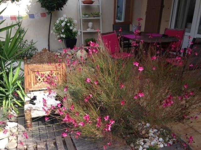 Hospedagem Em Casa De Família Avignon 170262-3