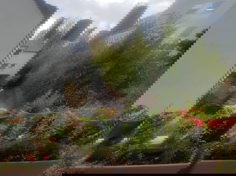 Chambre Chez L'habitant Courbevoie 325271-4