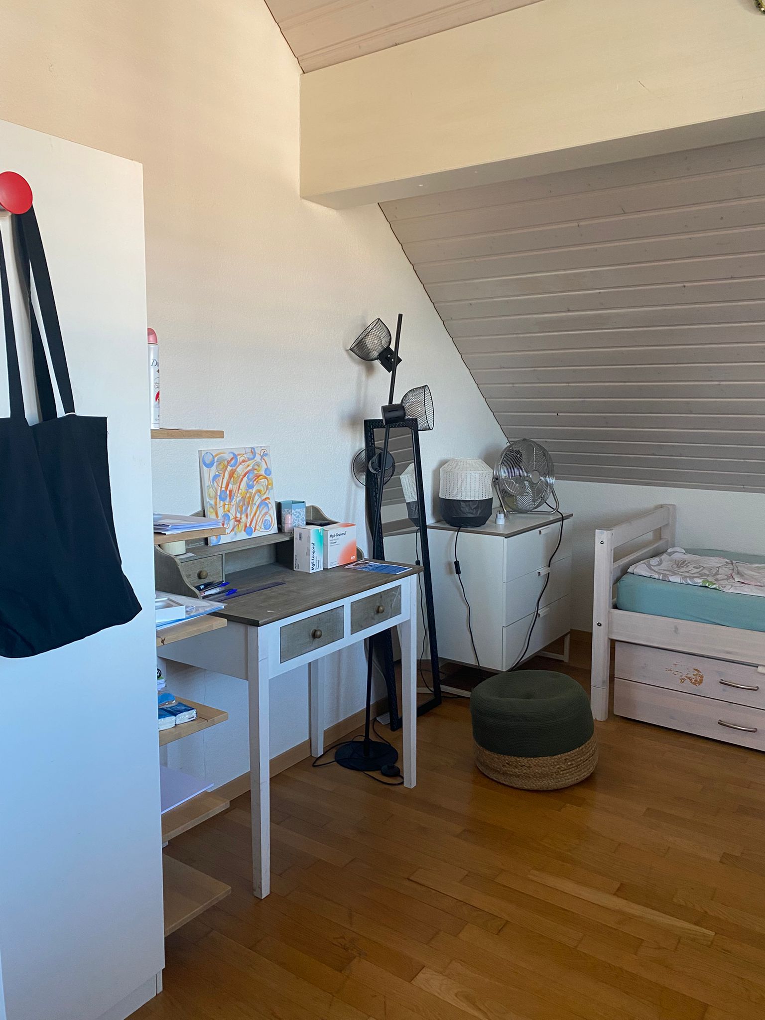 Homestay Prangins 484399