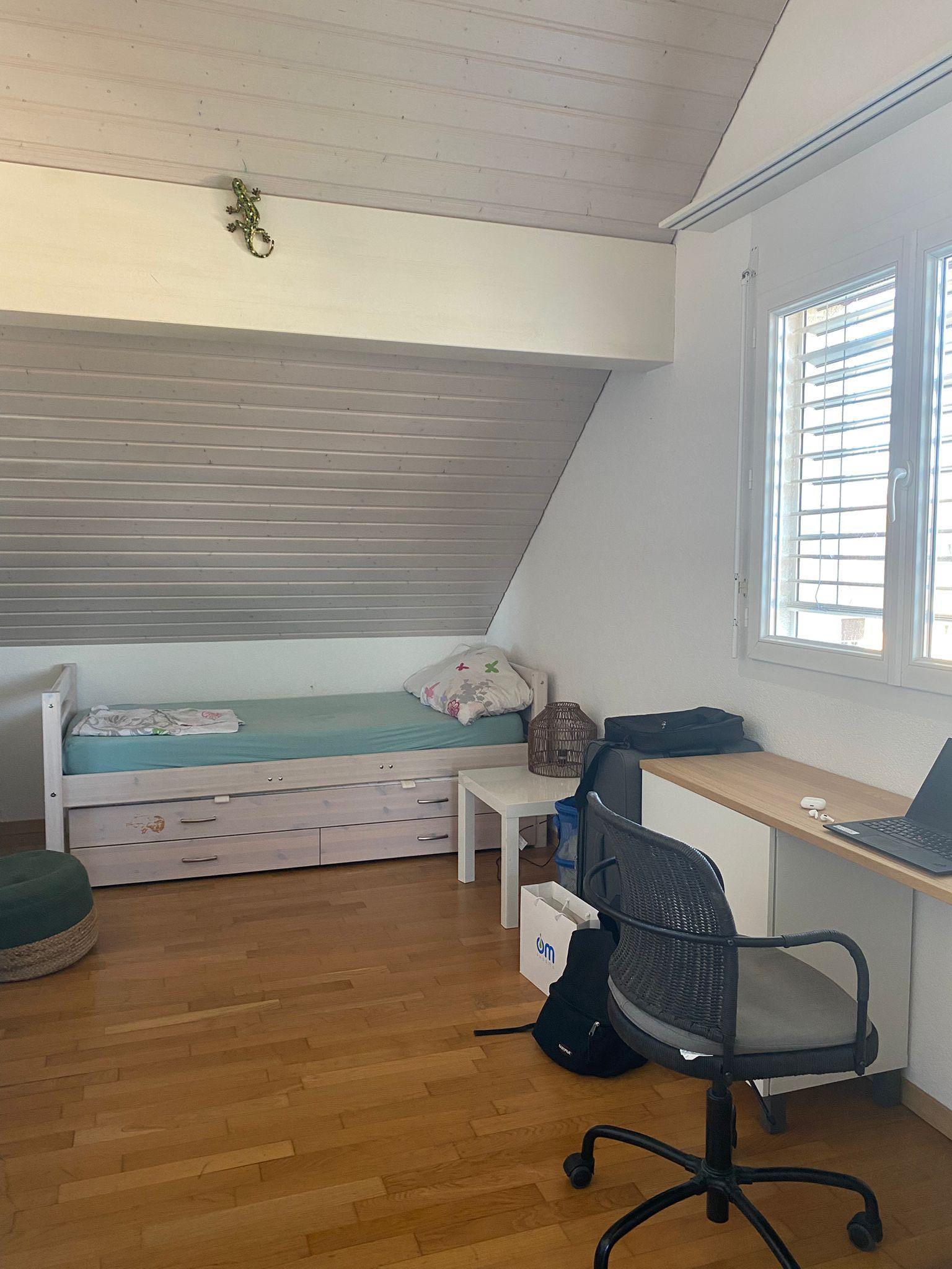 Homestay Prangins 484399