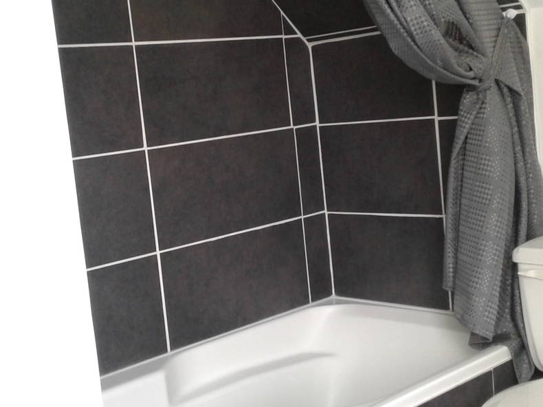 Colocation Saint-Hyacinthe 248195-4