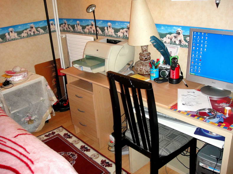 Homestay Les Ulis 28491-2