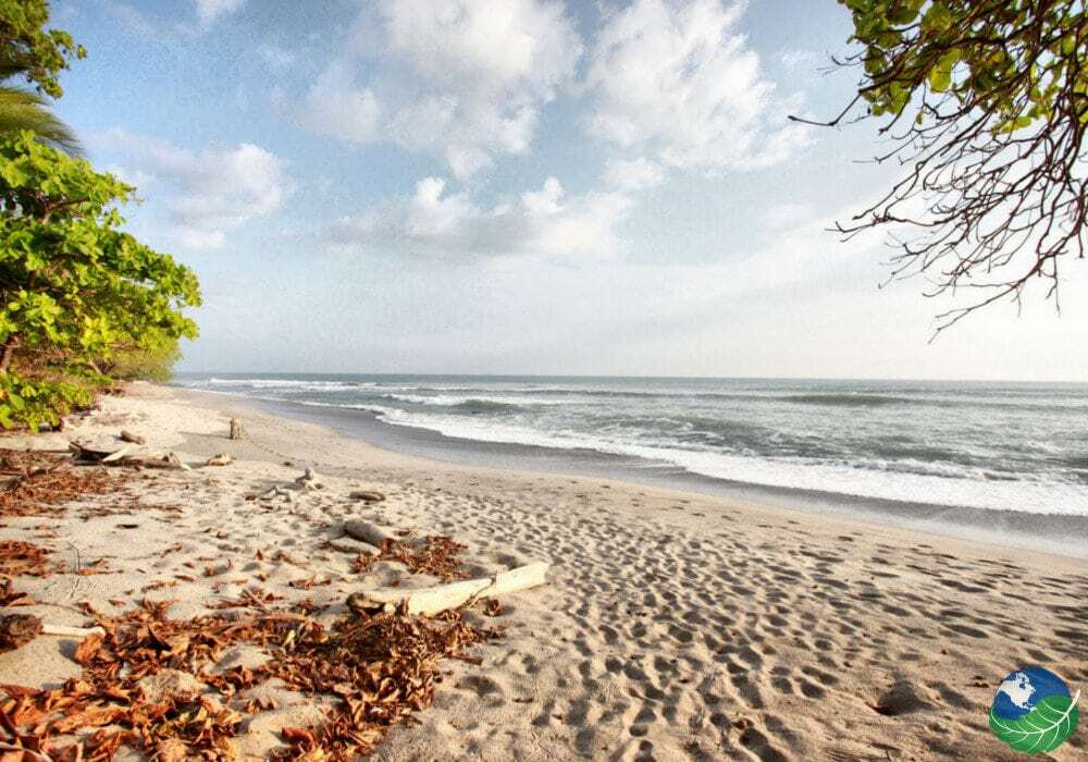 Colocation Provincia de Puntarenas 244866