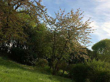 Homestay Blois 119929-3