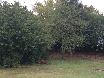 Chambre Chez L'habitant Blois 119929-5