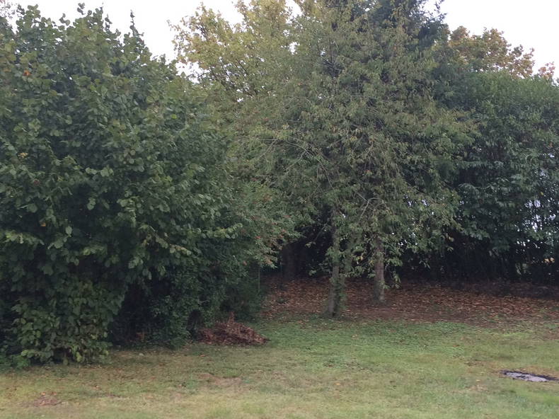 Homestay Blois 119929-5