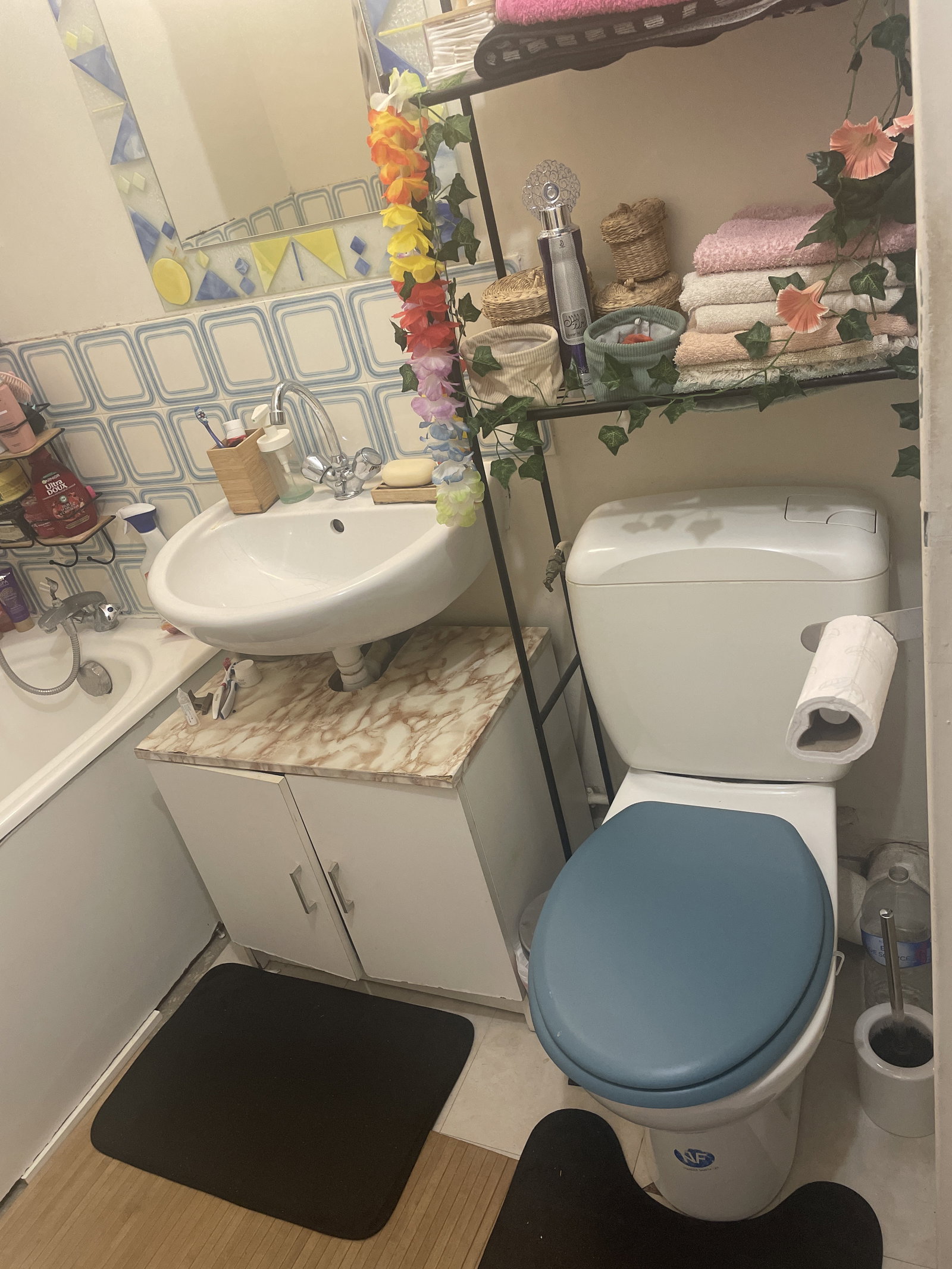 Chambre Chez L'habitant Montigny-le-Bretonneux 554455