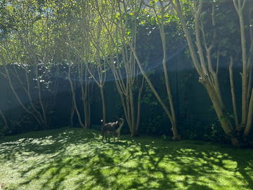 Chambre chez l'habitant à louer à Les Lilas - photo 17 : autre pièce-17