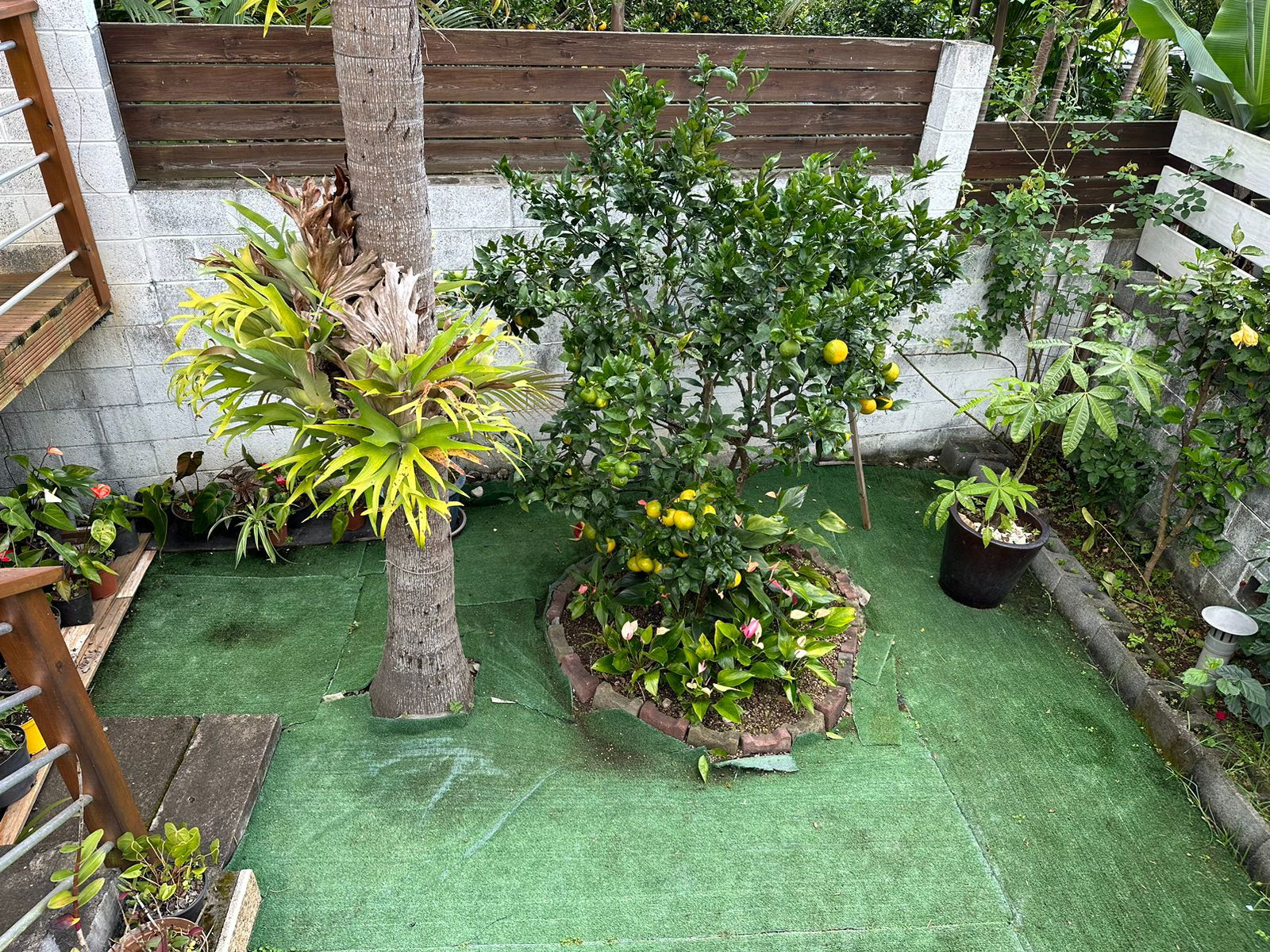 Chambre Chez L'habitant Saint-Leu 267598