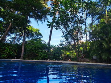 Guest room for rent in Guanacaste Province - photo 1: swimming pool-1
