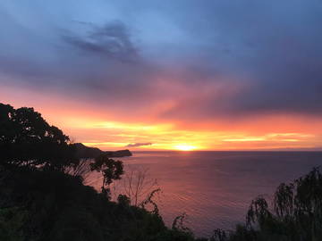 Guest room for rent in Guanacaste Province - photo 9: Other room-9
