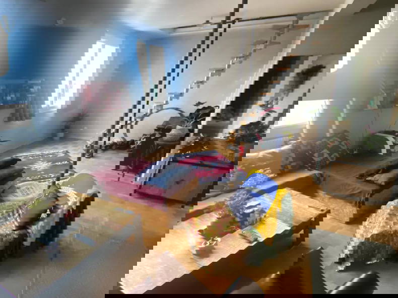 Kolokasie Noisy-le-Sec 651490-1