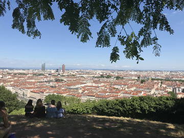 Chambre À Louer Lyon 225869