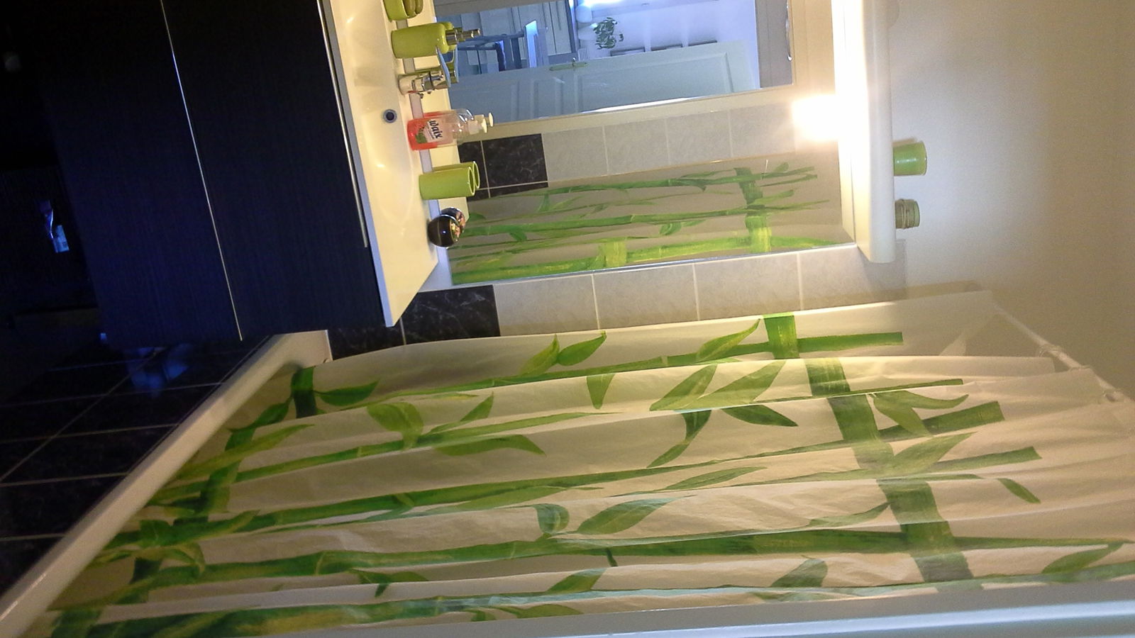 Chambre Chez L'habitant Gex 128674
