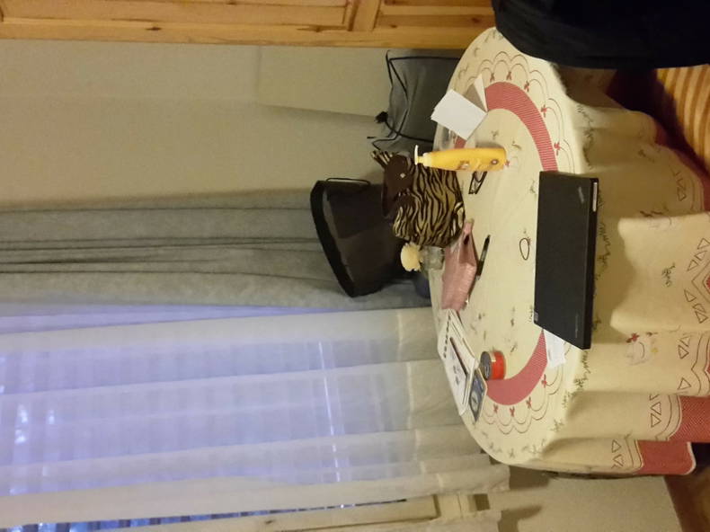 Gastfamilie Genève 233368-2