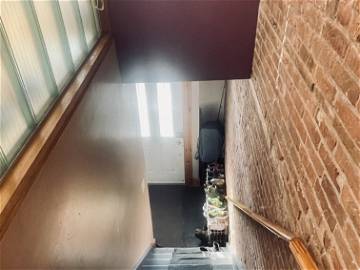 Colocation Montréal 265941-6