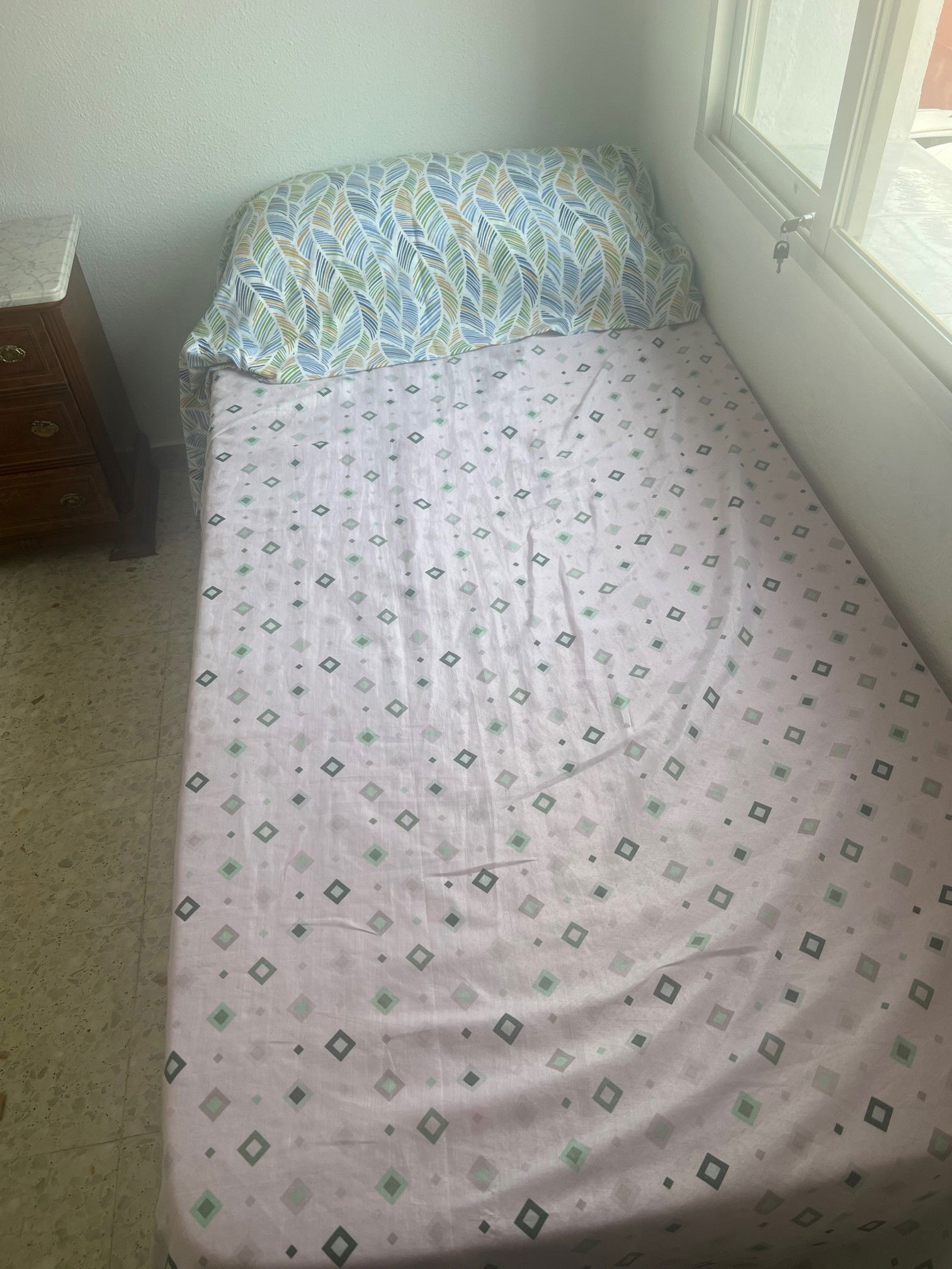 Colocation Chiclana de la Frontera 300950