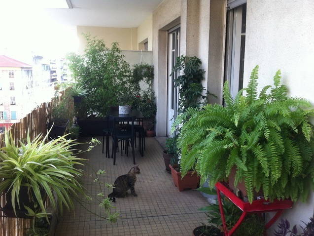 Chambre Chez L'habitant Nice 54555-4