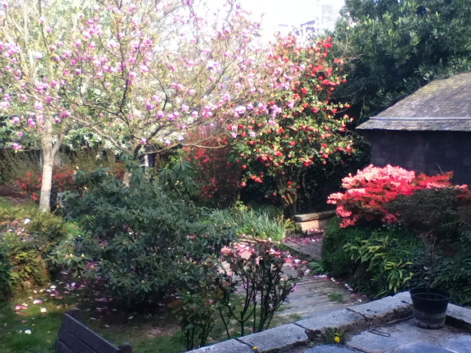 Chambre Chez L'habitant Nantes 95244