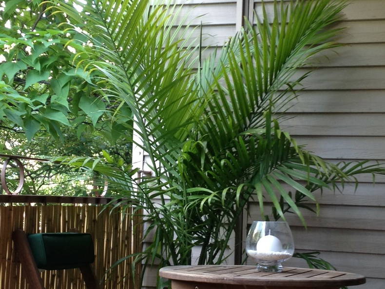 Hemvistelse Montréal 64296-3