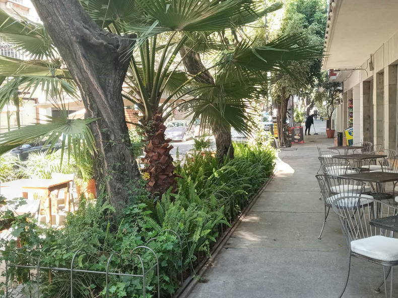 Entire Home México D.F. 249343-1