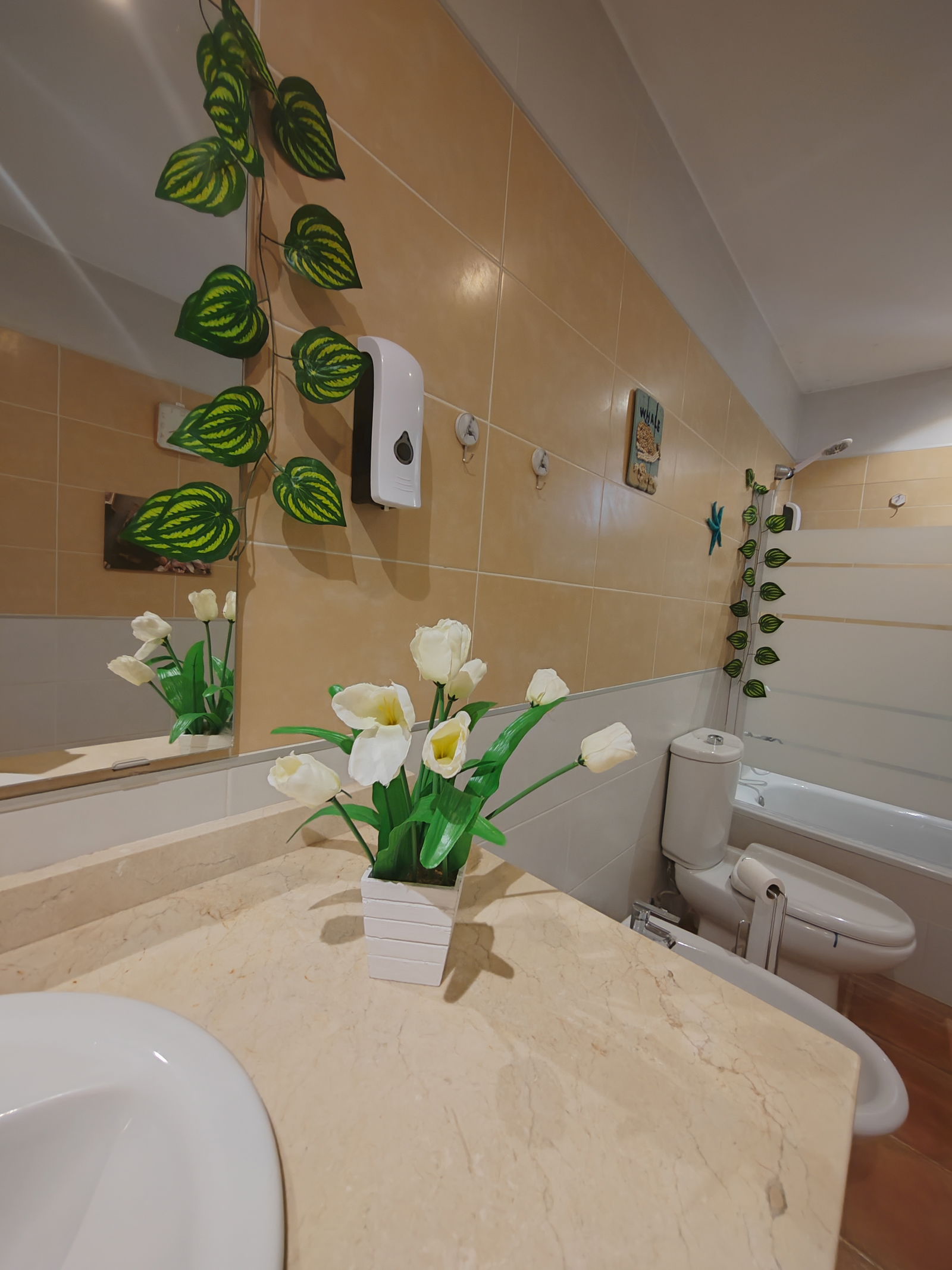 Chambre Chez L'habitant Ses Salines 313941