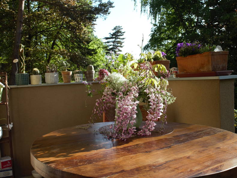 Homestay Villers-lès-Nancy 242464-1