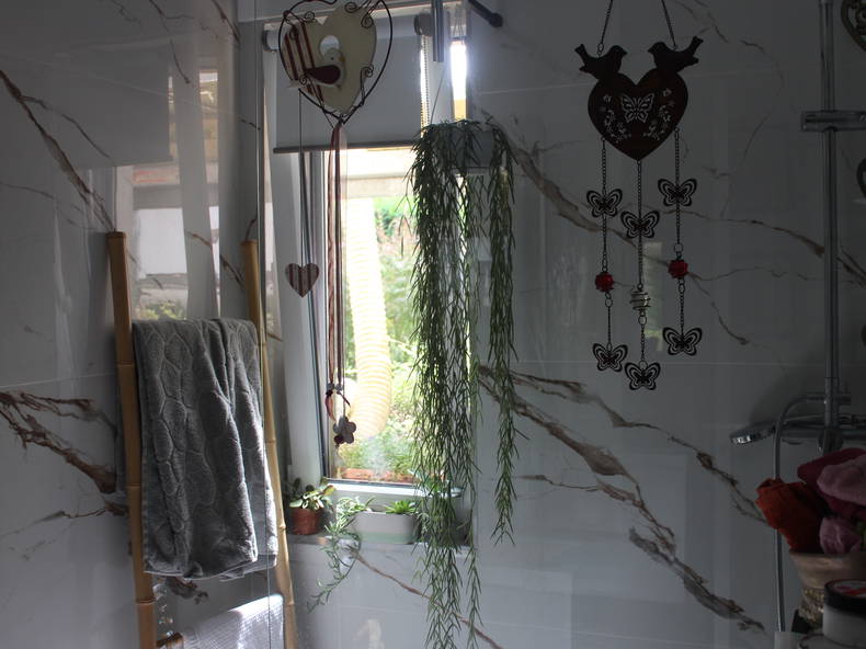 Chambre Chez L'habitant Villers-lès-Nancy 242464-4