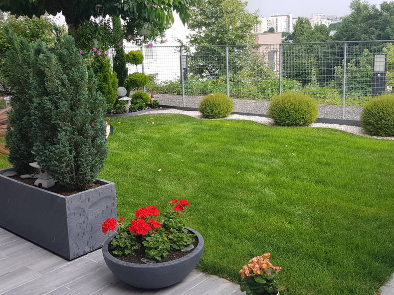 Gastfamilie Bagneux 242689-2