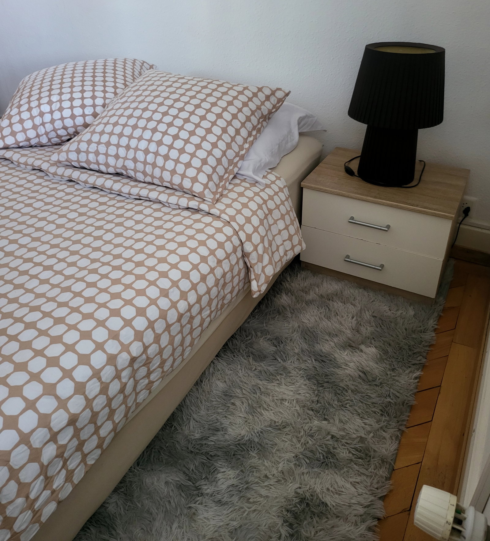 Chambre Chez L'habitant Peseux 245608