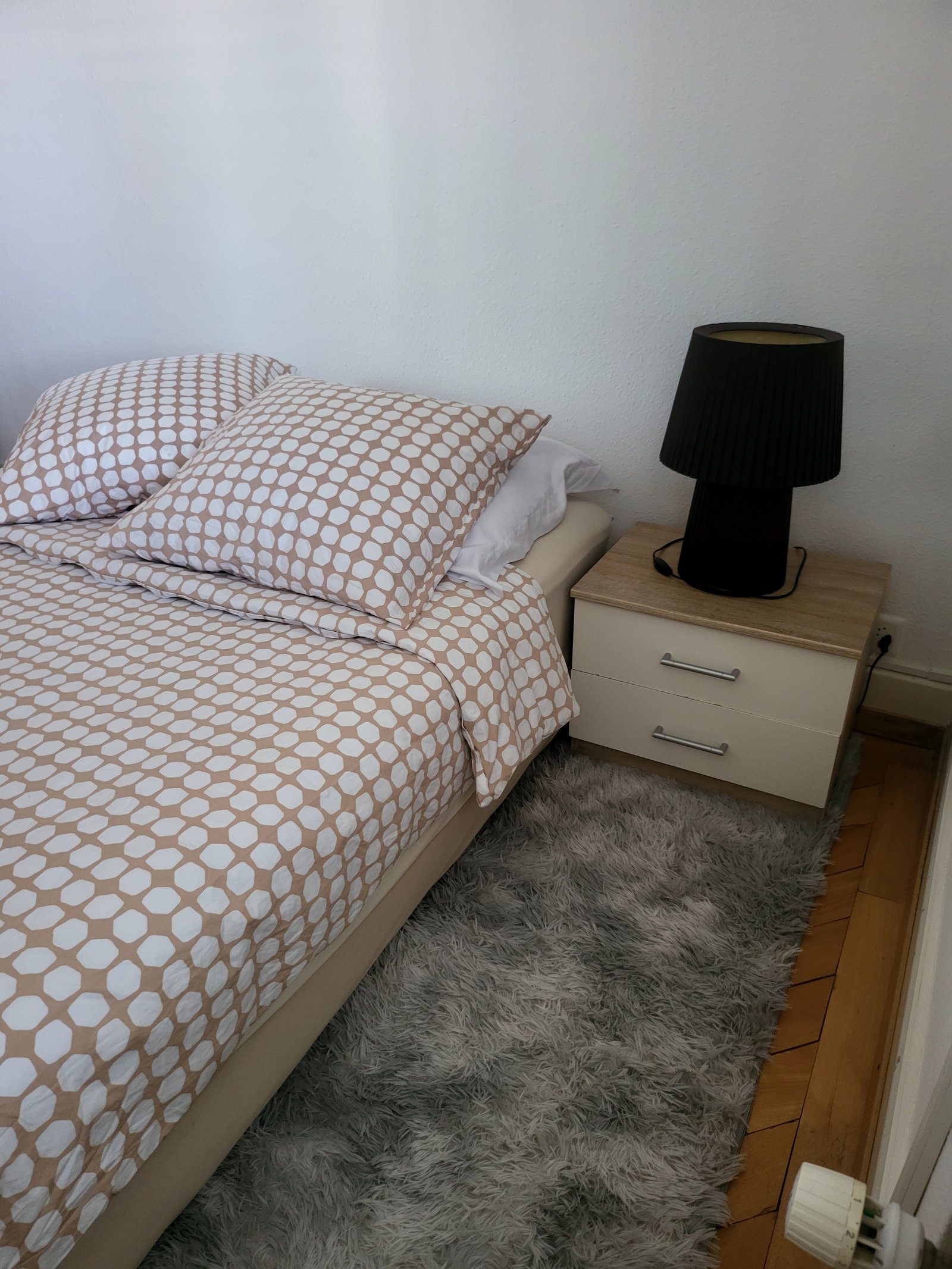 Chambre Chez L'habitant Peseux 245608