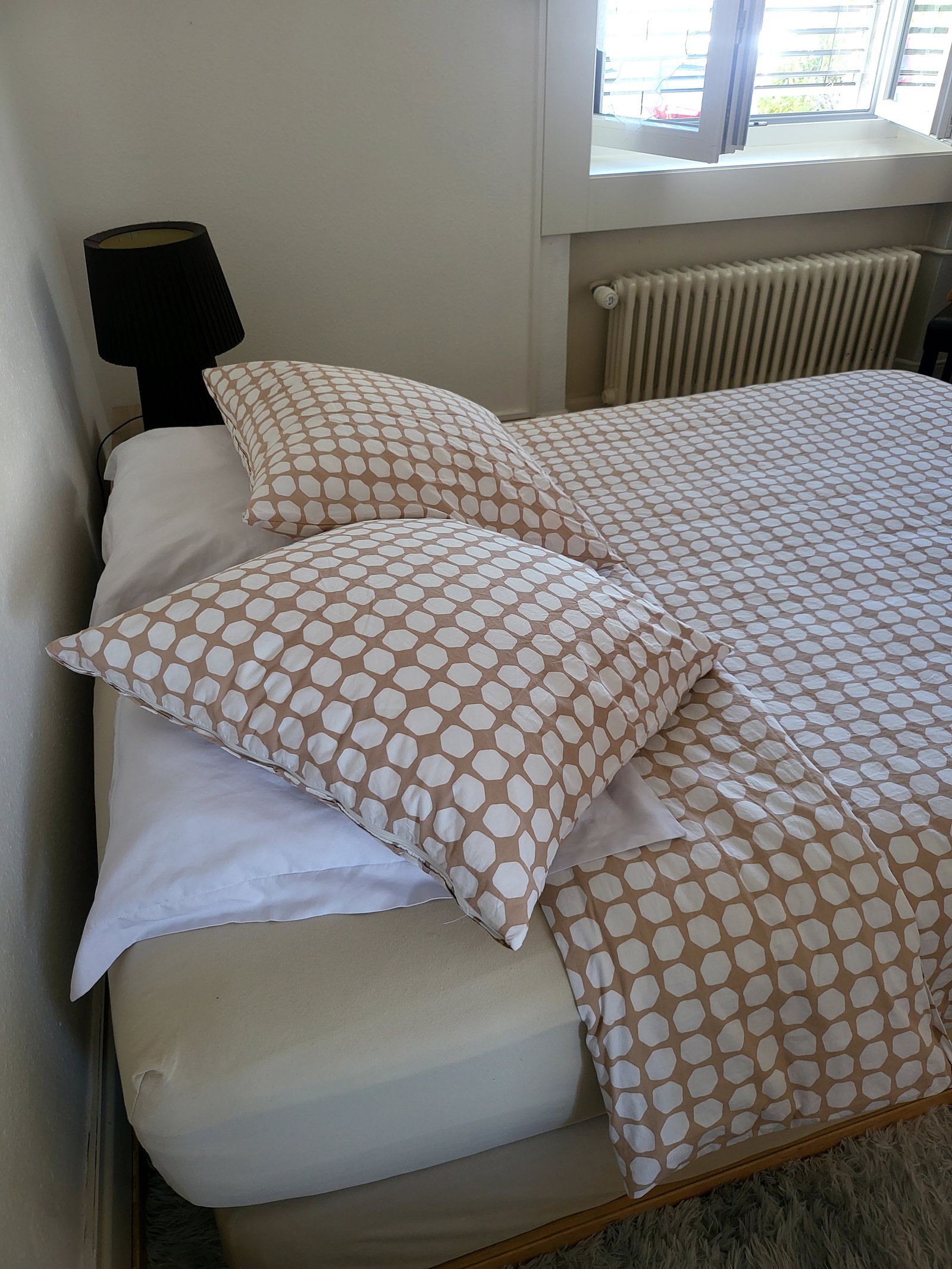 Chambre Chez L'habitant Peseux 245608