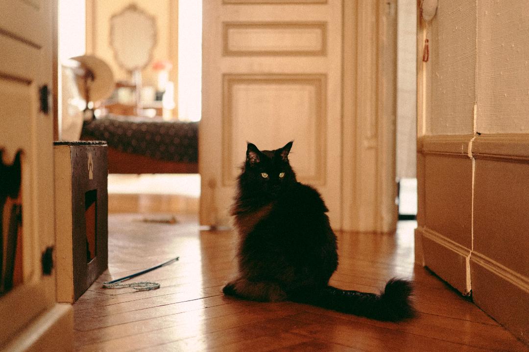 Chambre Chez L'habitant Lyon 660410