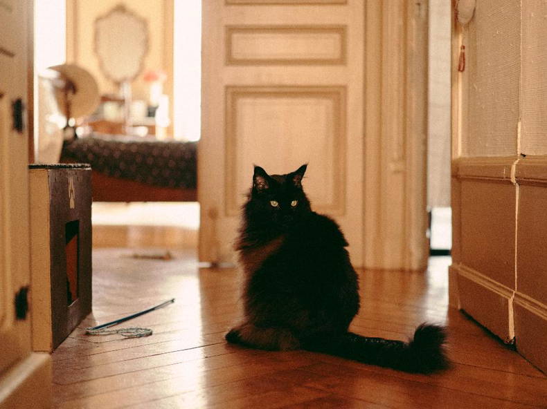 Chambre Chez L'habitant Lyon 660410-5