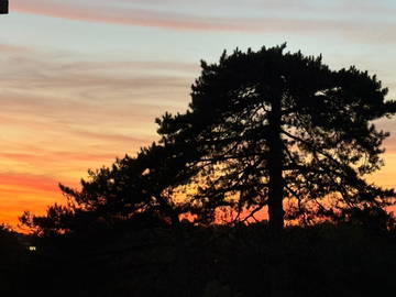 Homestay Nantes 267538-7