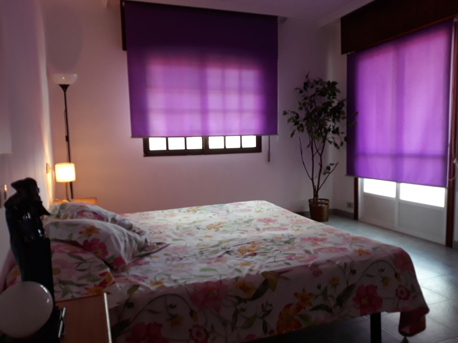 Chambre Chez L'habitant Vilaboa 211094