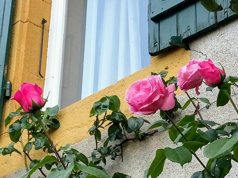 Quedarse En Casa Changy 203852-5