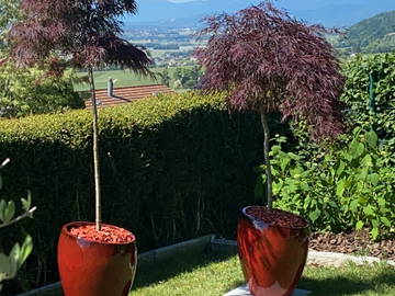 Chambre chez l'habitant à louer à Mont-Sur-Rolle - photo 2-2