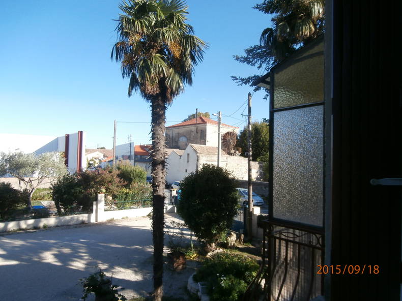 Kolokasie Pierrelatte 654936-3