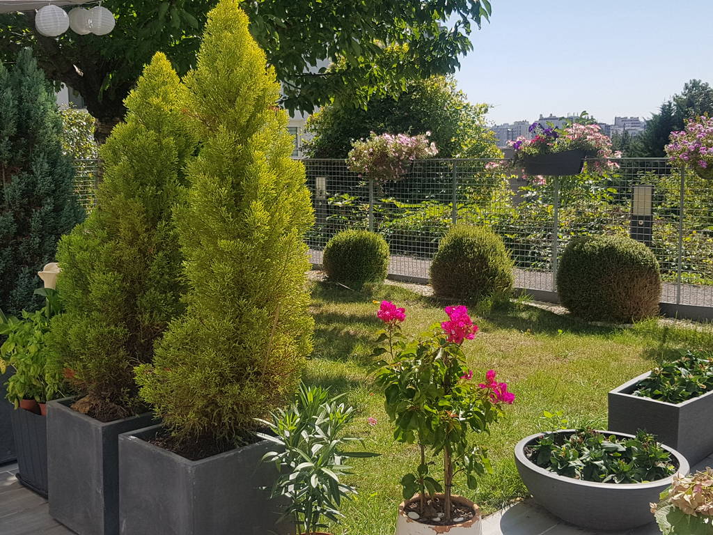 Gastfamilie Bagneux 219342-1