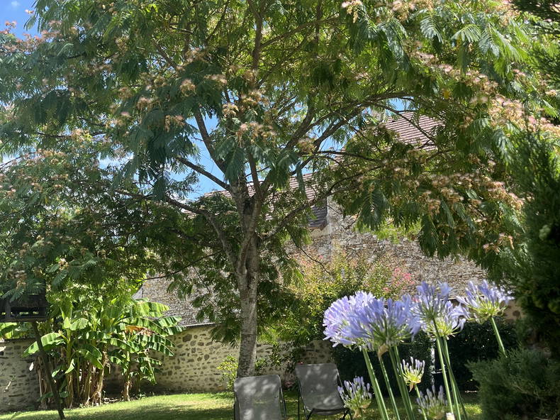 Homestay Morainvilliers 572685-5