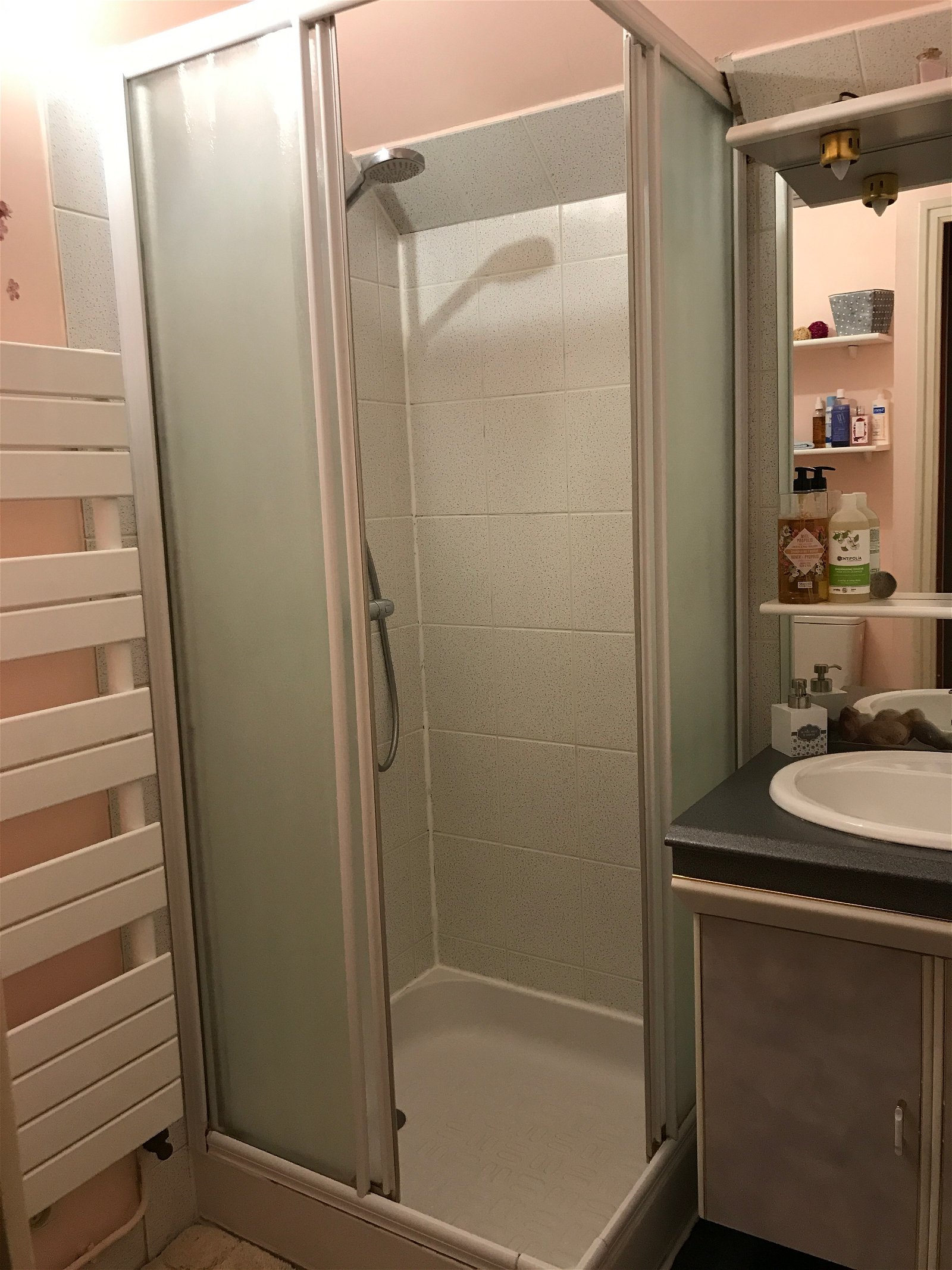 Chambre Chez L'habitant Avrillé 76391